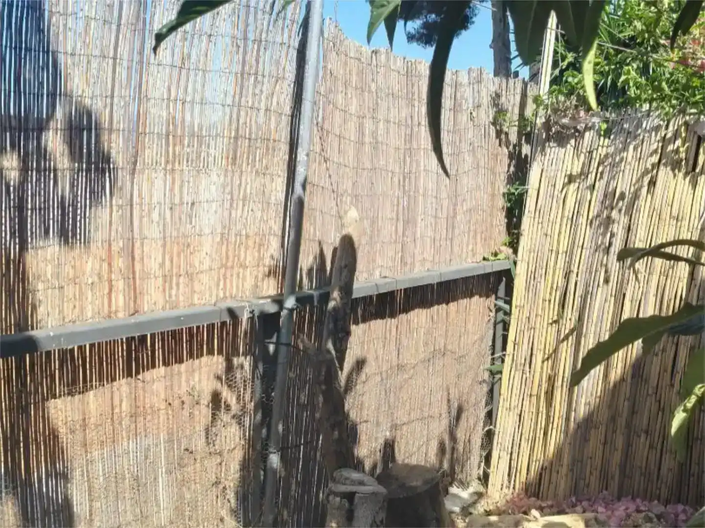 Jardí de Casa o xalet en venda en Marbella amb Aire condicionat