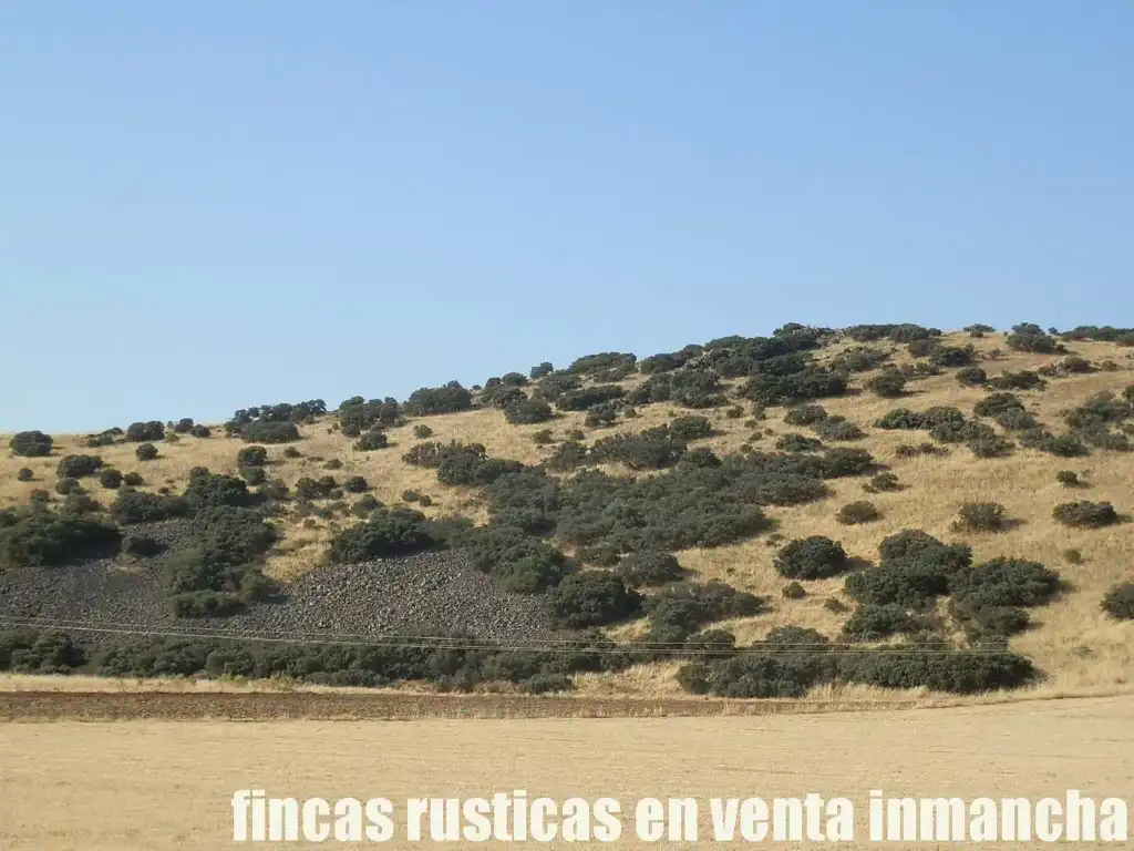 Terrenys i solars en venda a Almagro, imagen 13