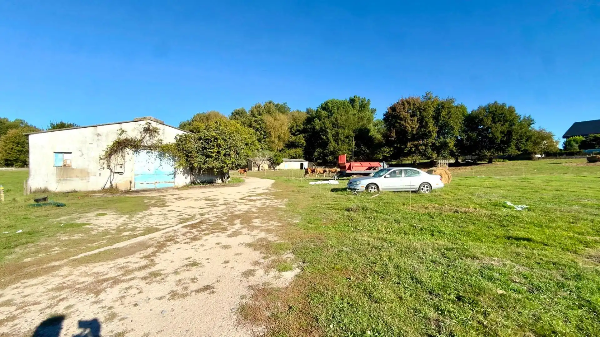 Casa con piscina en venta en Amoeiro, imagen 65