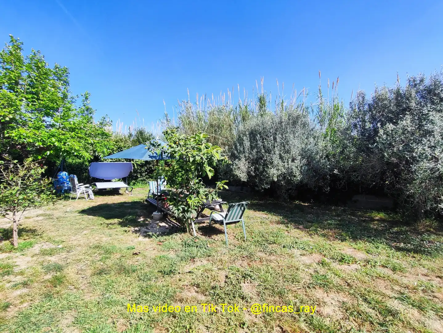 Terreno residenziale in vendita a Torrelles de Foix, imagen 29