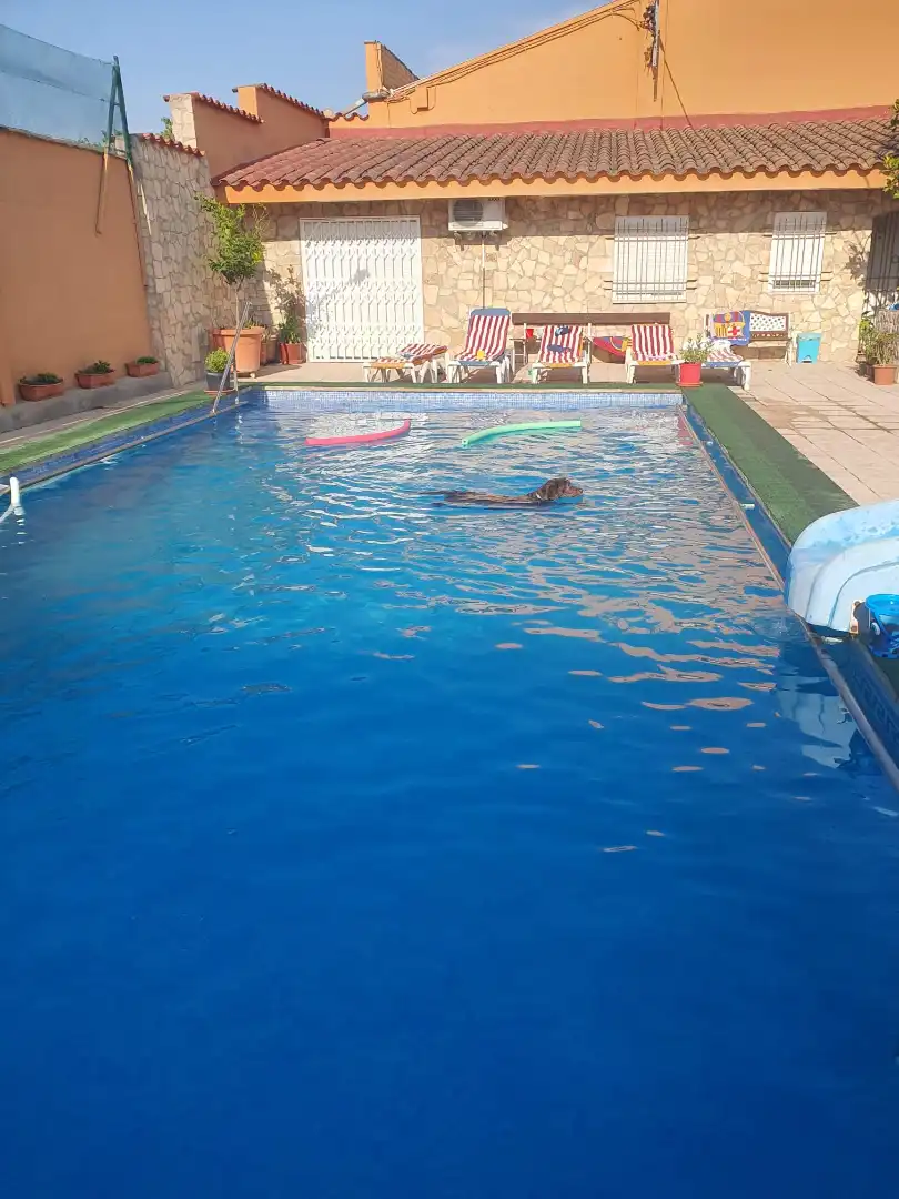 Piscina de Finca rústica en venta en Tàrrega con Aire acondicionado, Calefacción y Jardín privado