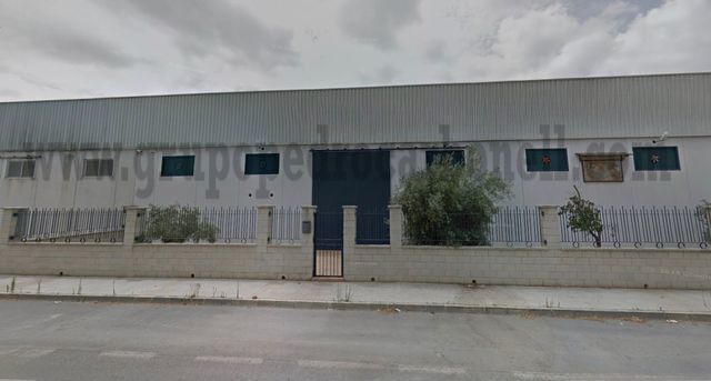 Exterior view of Industrial buildings to rent in Almoradí