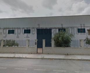 Exterior view of Industrial buildings to rent in Almoradí