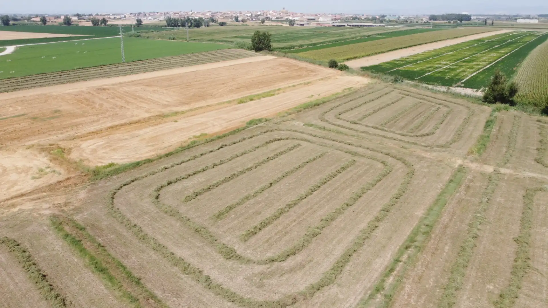 Terreno rustico in vendita a N/A, imagen 7