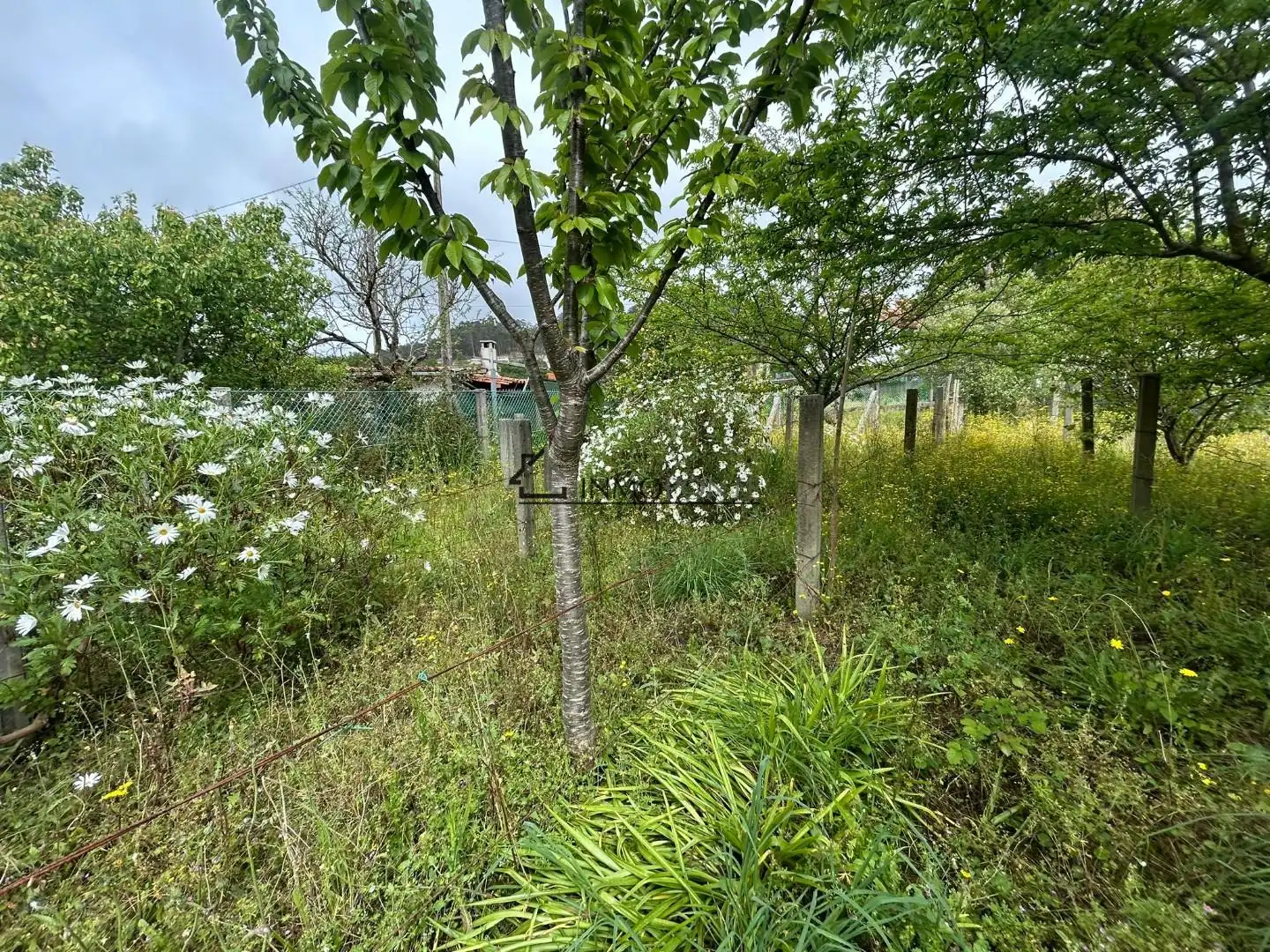 Casa o xalet en venda en Poio amb Calefacció, Jardí privat i Terrassa