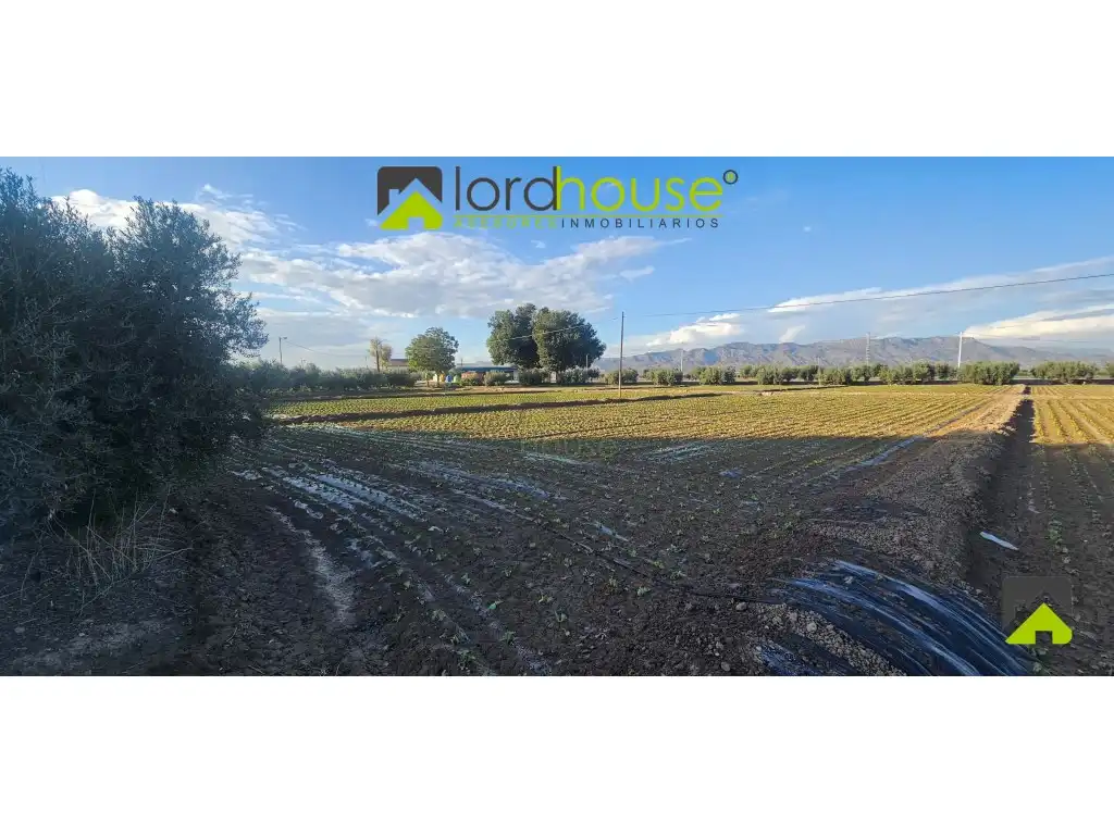 Residencial en venta en N/A, Marchena