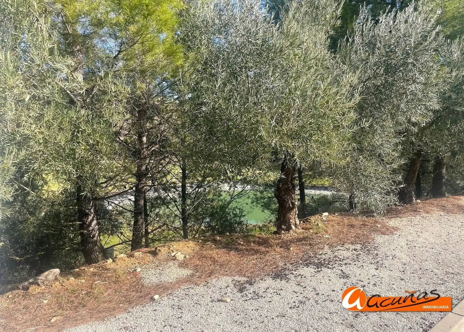 Lands and plots for sale in Bobadilla - Bobadilla Estación - La Joya, imagen 35