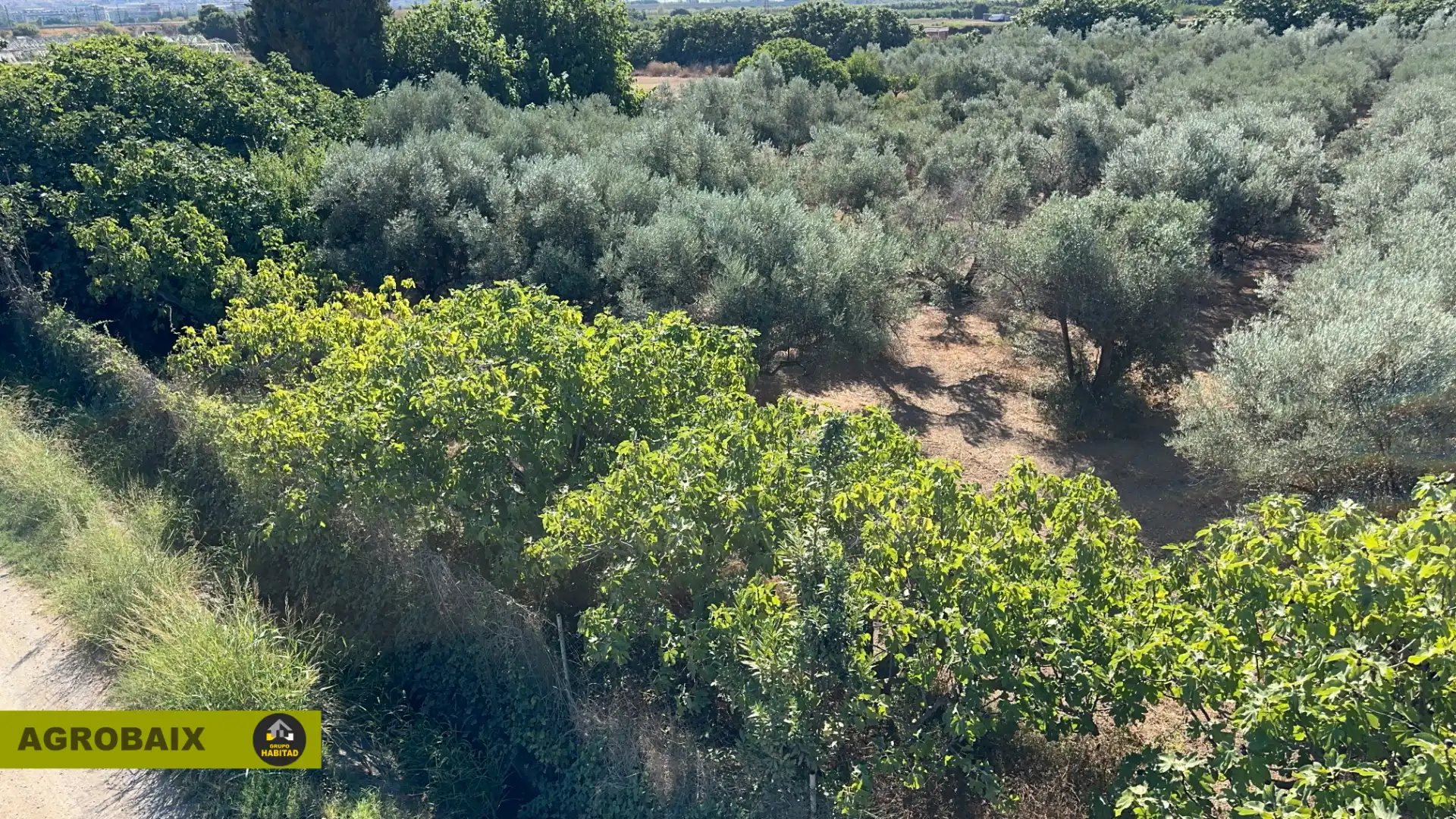 Rural land for sale in BV-2002 114, imagen 7