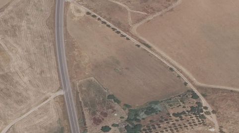 Terreno en Olivenza Badajoz, immagine 2
