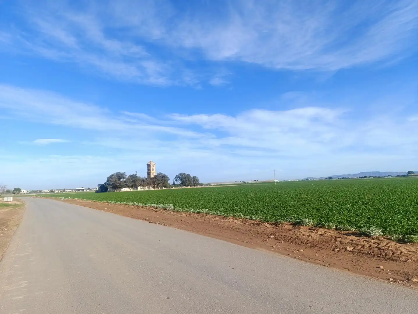 Terreno rústico en venta en Pasaje TORRE CALIN-DS ALJORRA 1, imagen 3