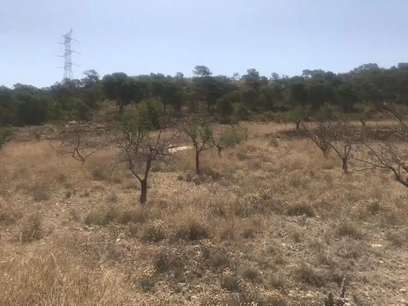 Lands and plots for sale in Poste Abanilla 165, imagen 8