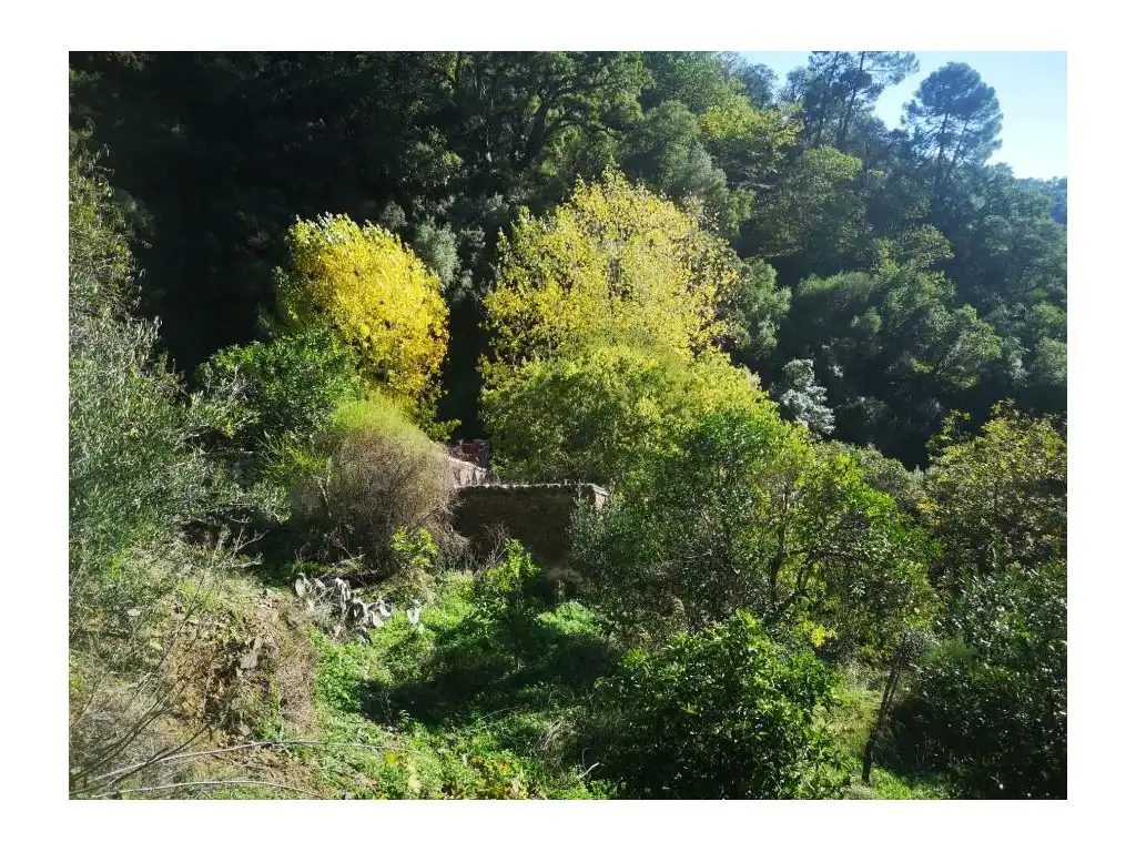 Jardí de Casa o xalet en venda en Genalguacil