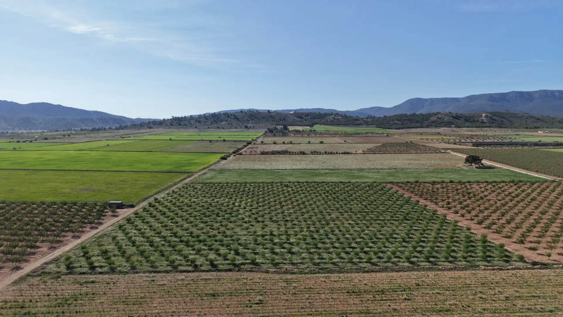 Residential land for sale in Yecla, imagen 9