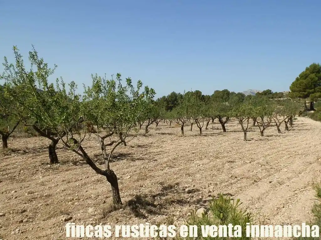 Terreny rústic en venda a Jijona / Xixona, imagen 4