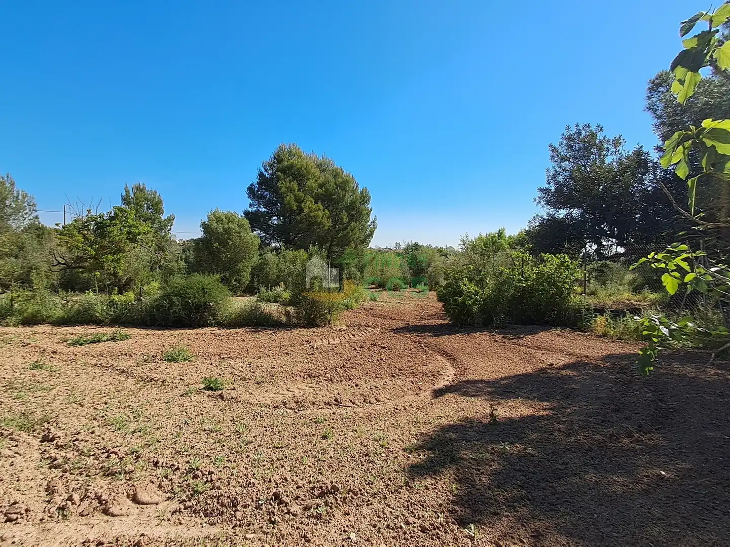 House with garden for sale in Ponent, imagen 6