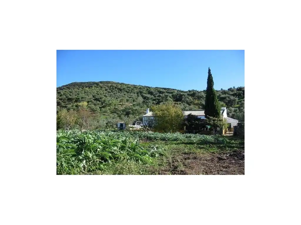 Jardín de Casa o chalet en venta en El Gastor