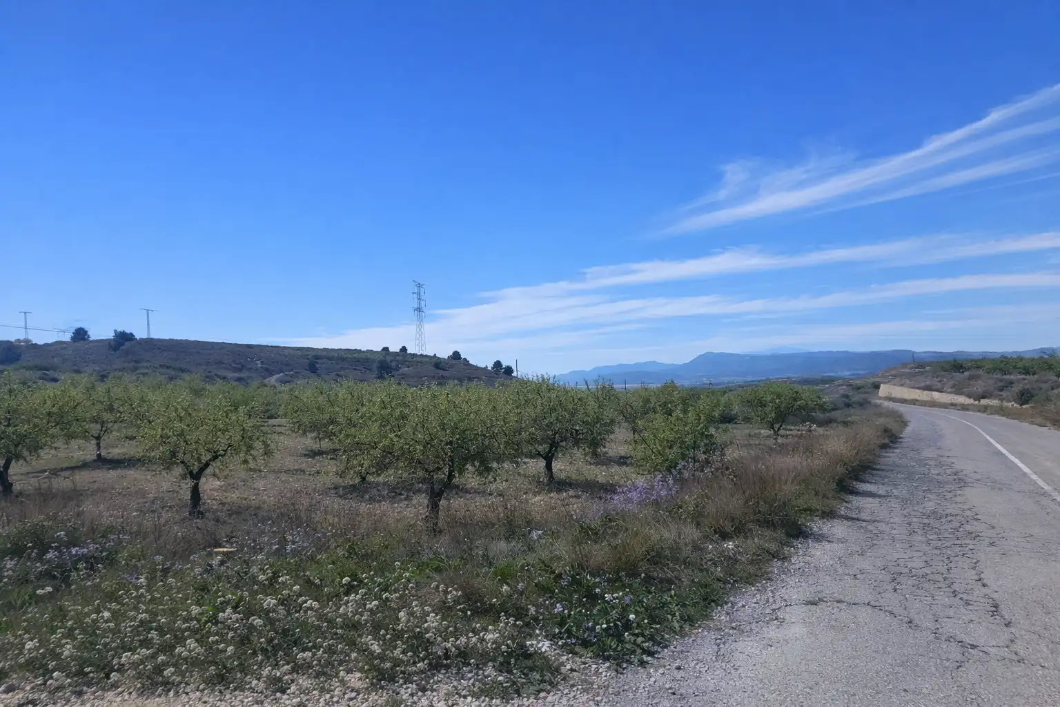Terreny rústic en venda a Pedanías Oeste, imagen 3