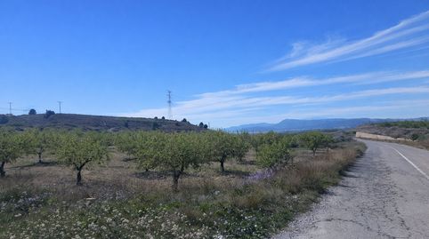 Foto 3 de Terreno en venta en Barqueros, Murcia Capital