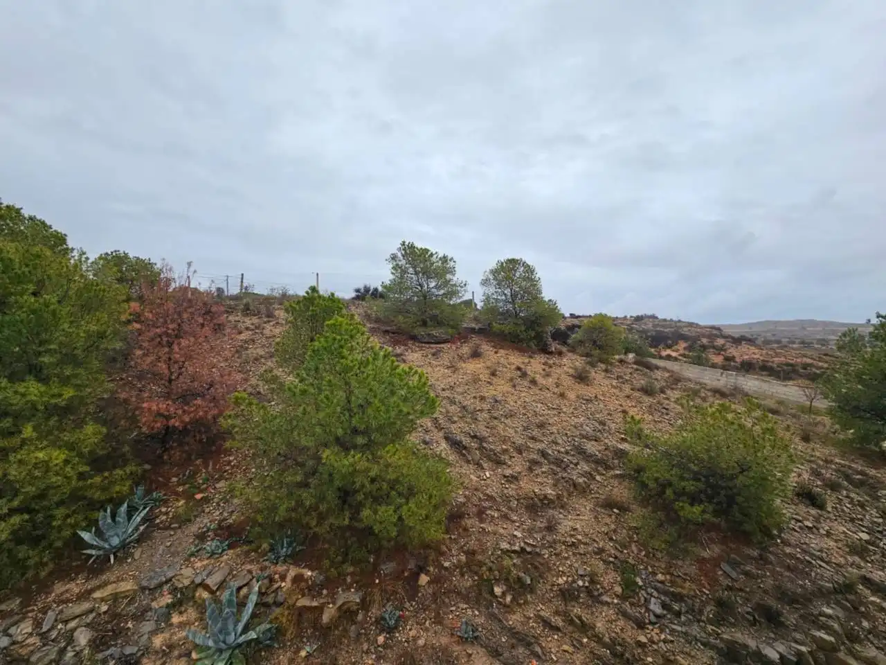 Casa o xalet en venda en Alicante / Alacant amb Aire condicionat, Calefacció i Jardí privat