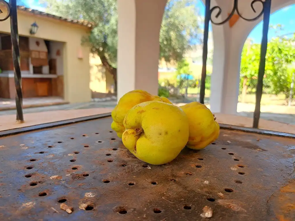 Garden of Houses for sale in Orba  with Air Conditioner, Private garden and Terrace
