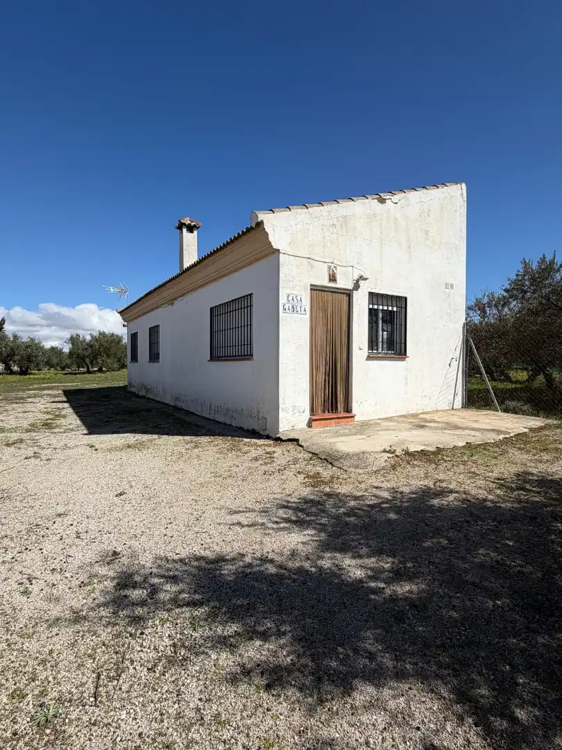 Vista exterior de Finca rústica en venta en Iznalloz