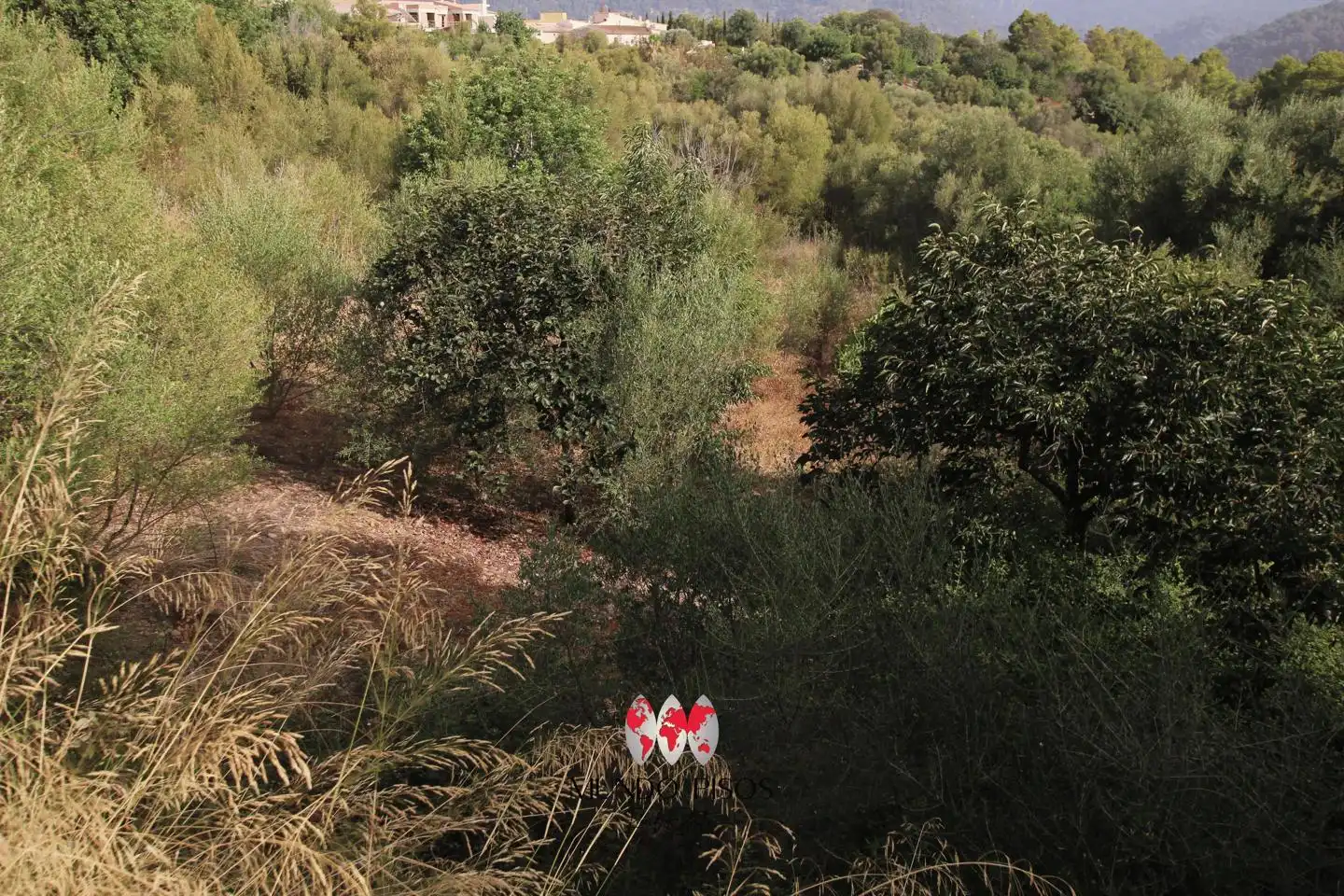 Terrenys i solars en venda a Camí d'Ullaró, imagen 11