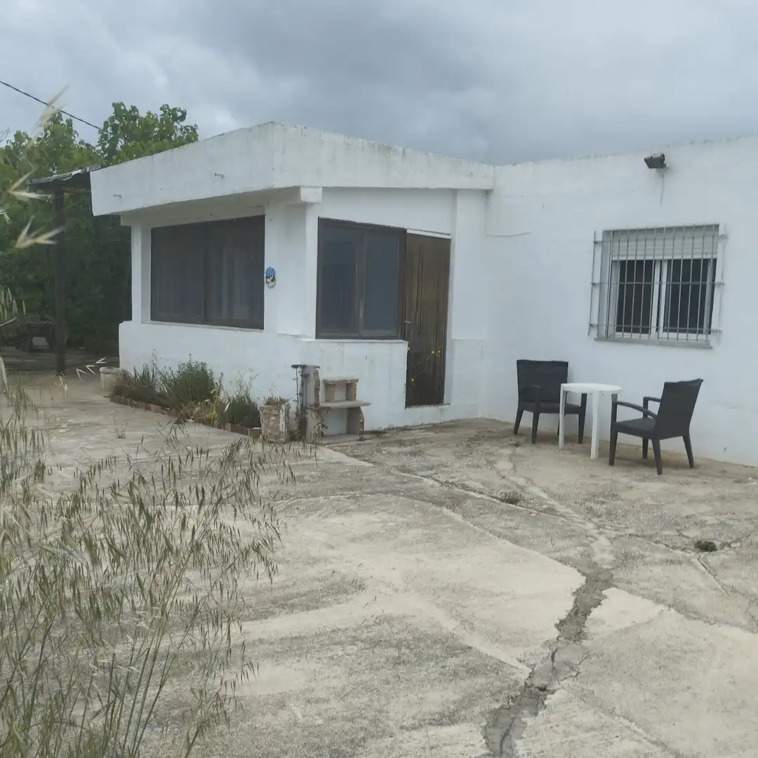 Exterior view of Industrial land for sale in Moncofa