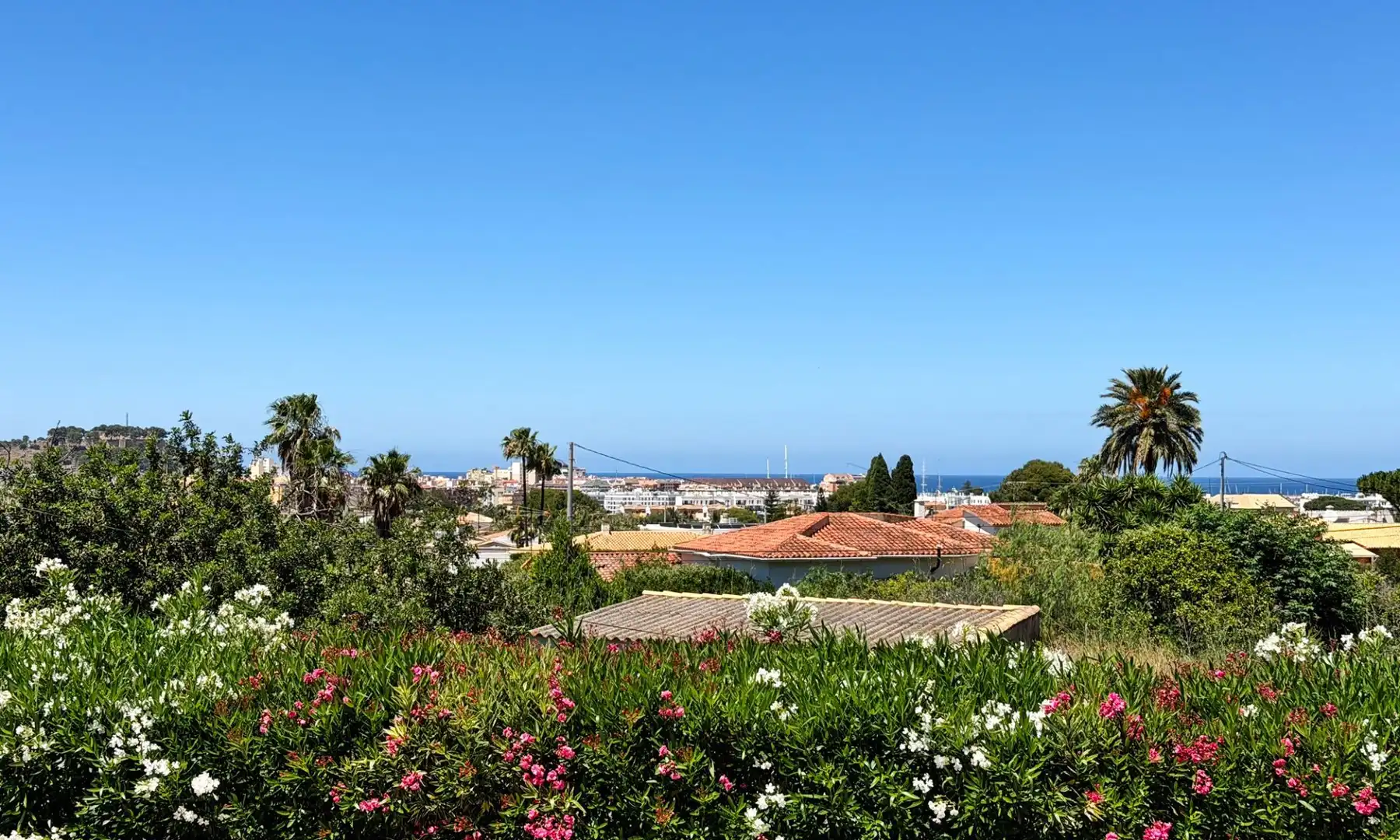 Vista exterior de Casa o chalet en venta en Dénia con Aire acondicionado, Calefacción y Jardín privado