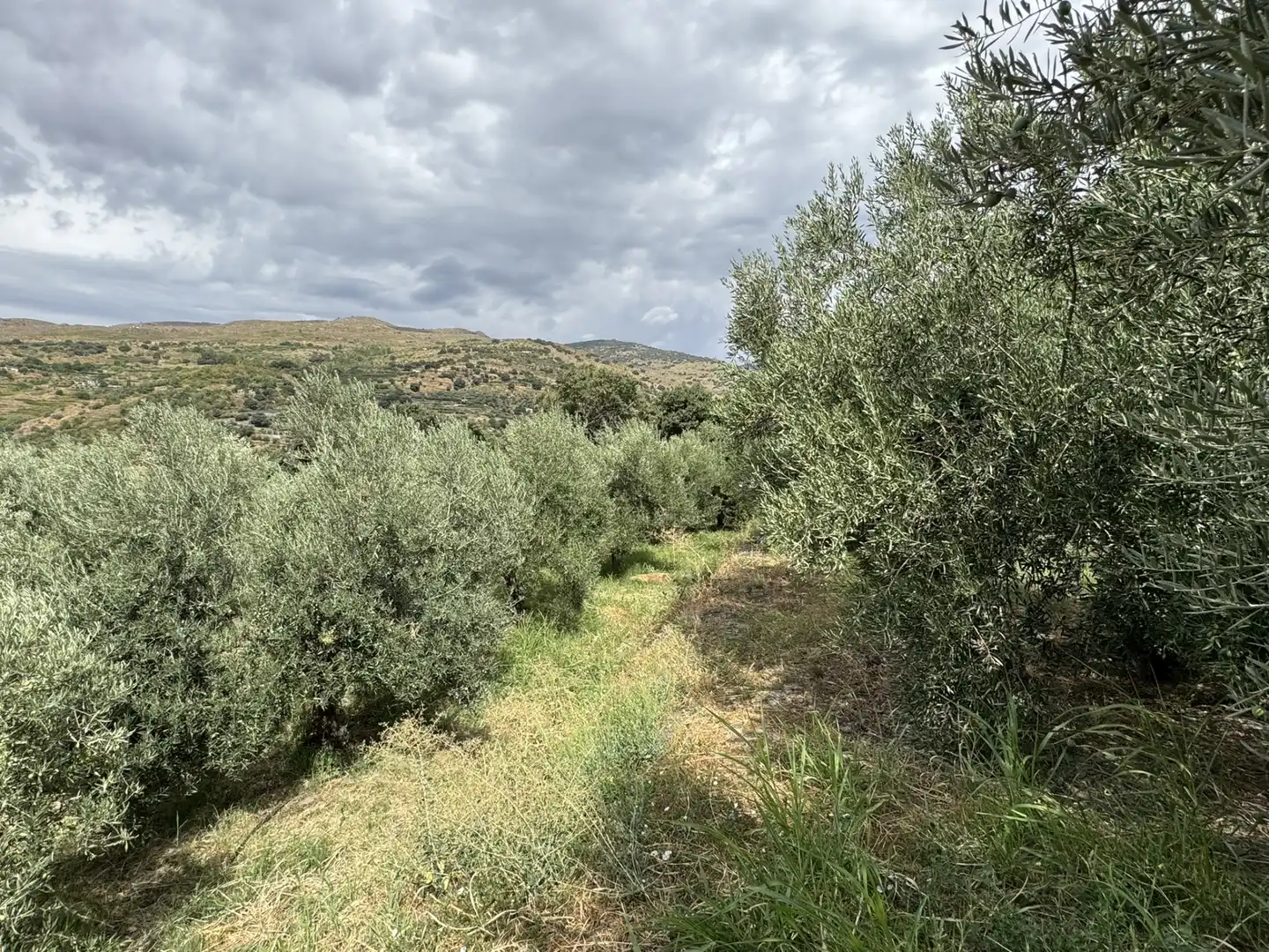 Terreny en venda en Ohanes