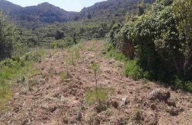 Land for sale in Albocàsser