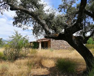 Haus oder Chalet zum verkauf in Guijo de Granadilla