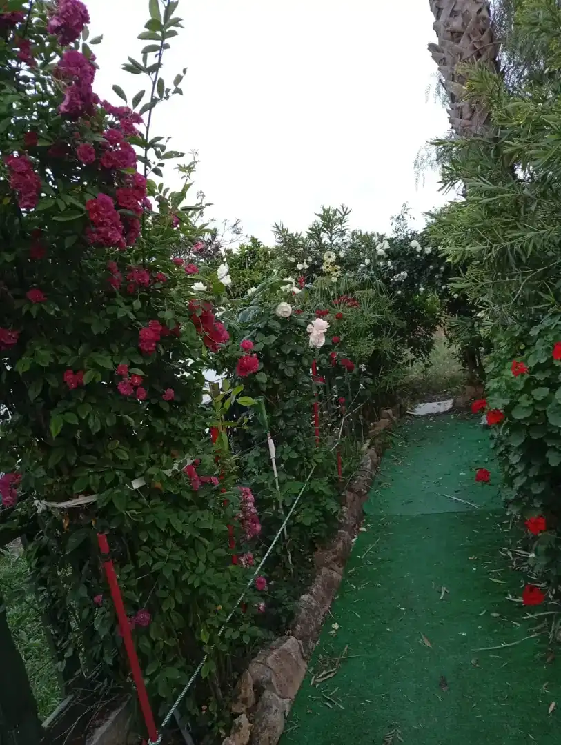 Garten von Erdgeschoss zur Miete in Coripe