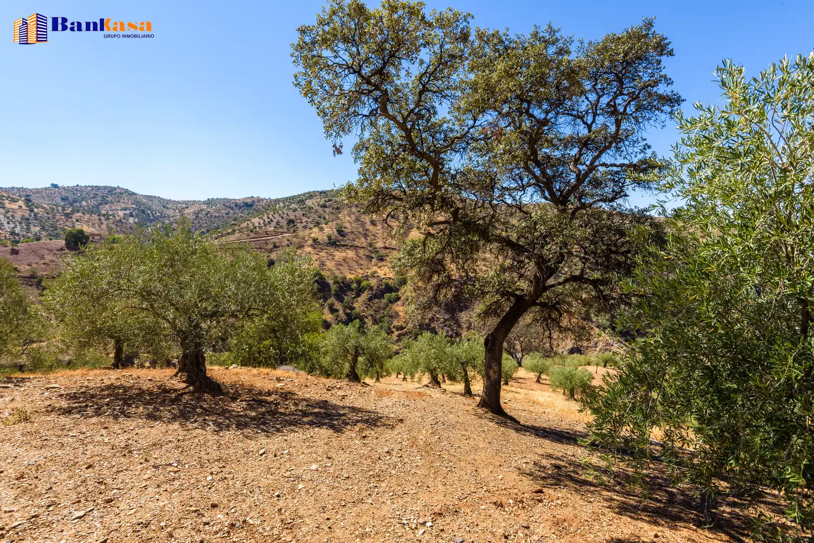 Finca rústica en venta en Álora con Jardín privado y Trastero