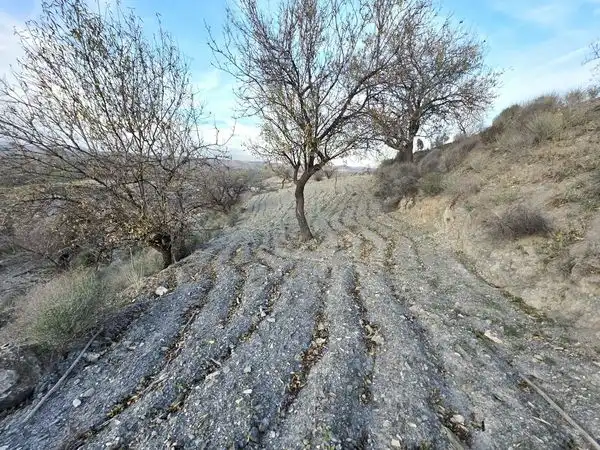 Finca rústica en venta en Lorca