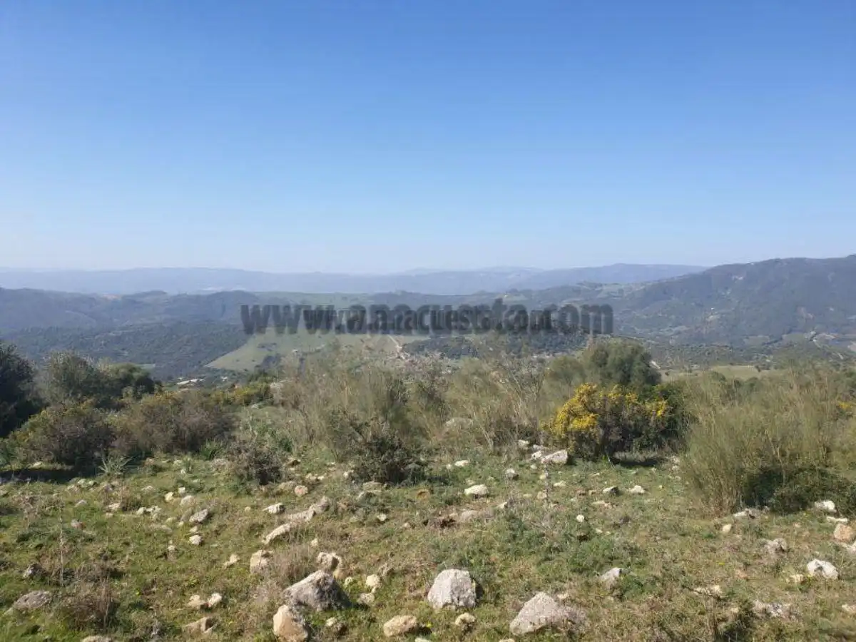 Residencial en venda a Casares, Málaga