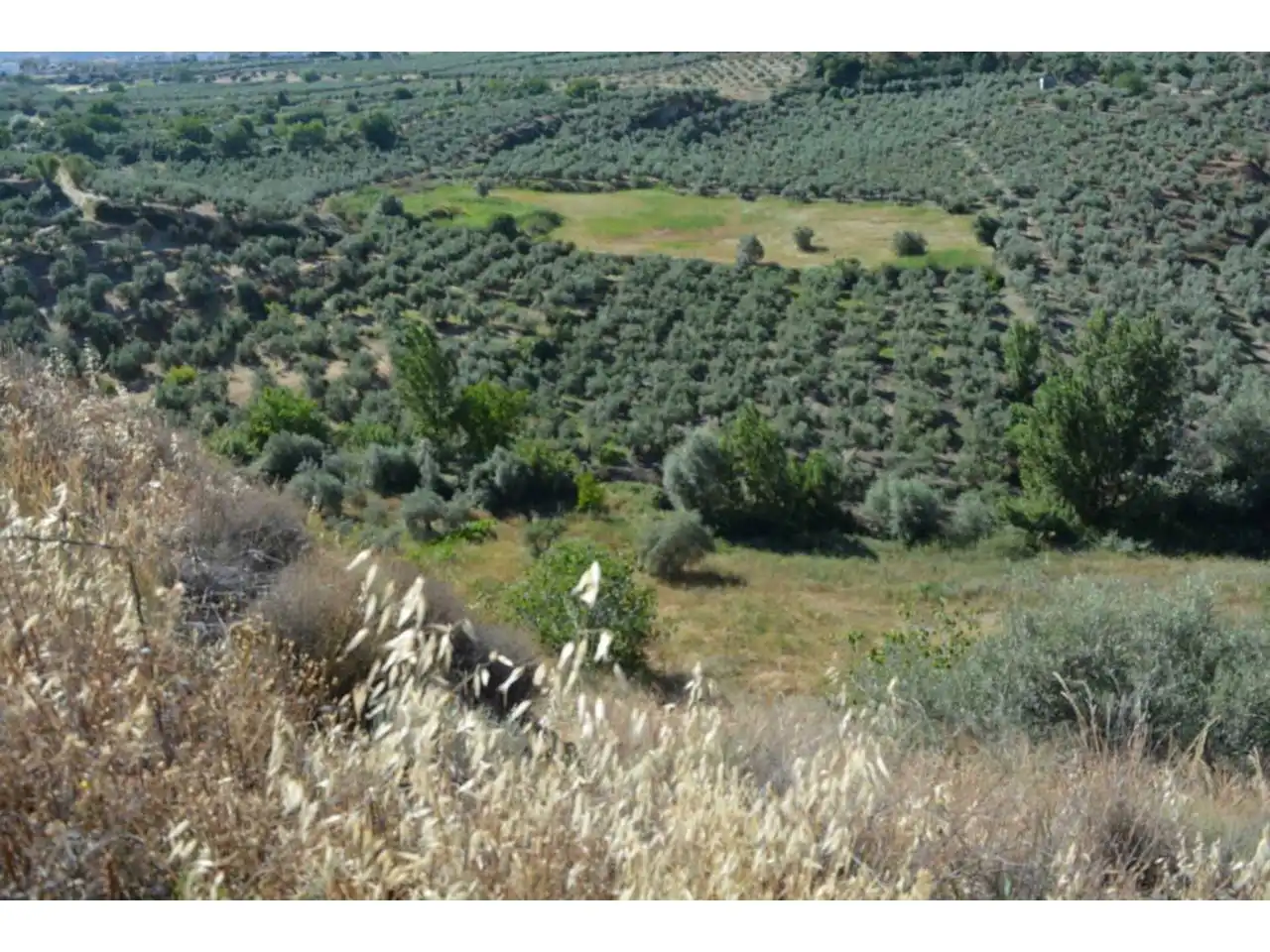 Lands and plots for sale in Plaza Iglesia 1, imagen 21