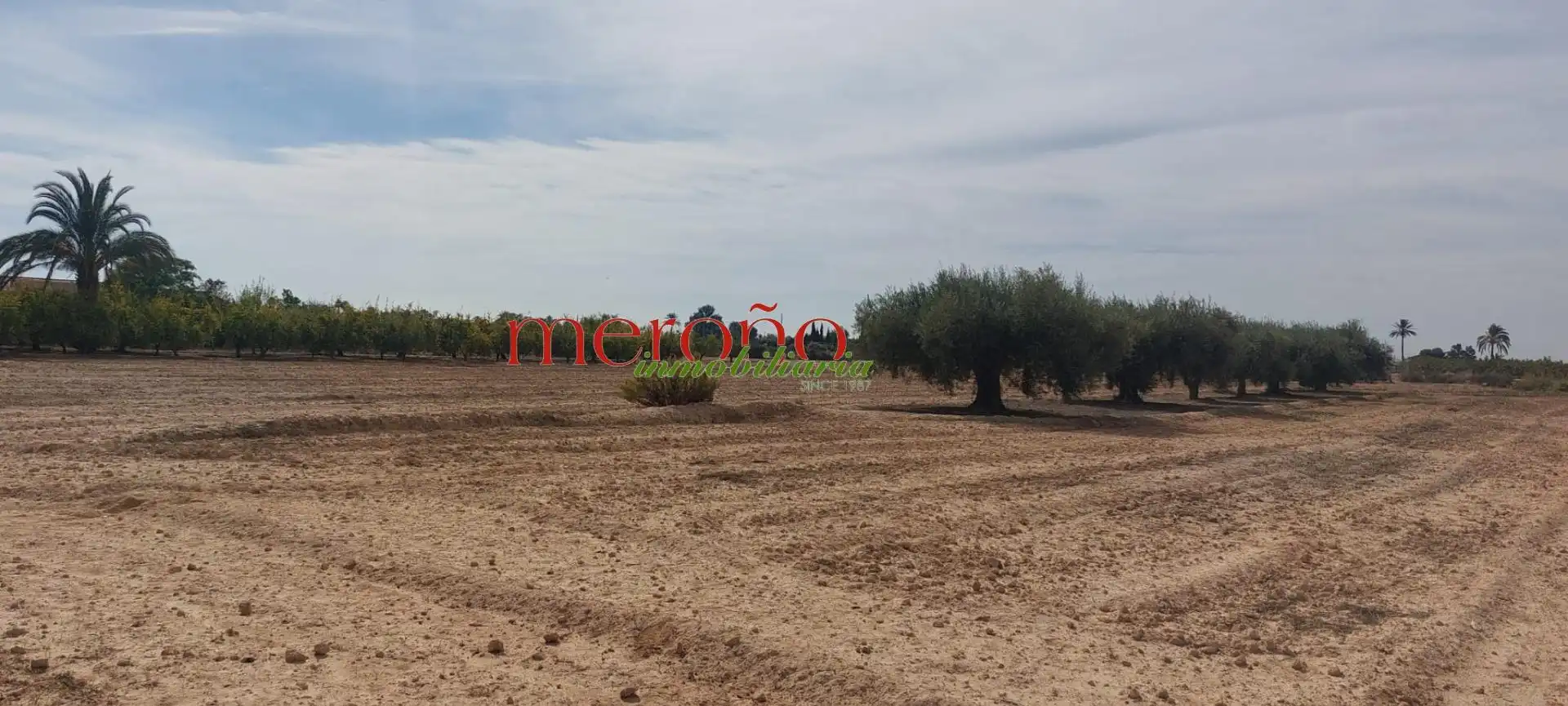 Terreno residencial en venta en Elche ciudad, imagen 2