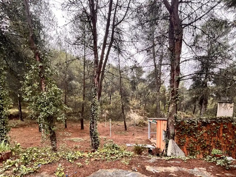 Casa amb piscina en venda a Sargento (El), imagen 6