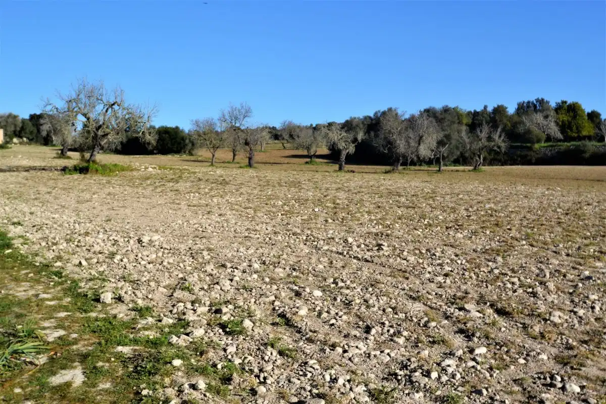 Casa rústica en venta en Llubí, imagen 10