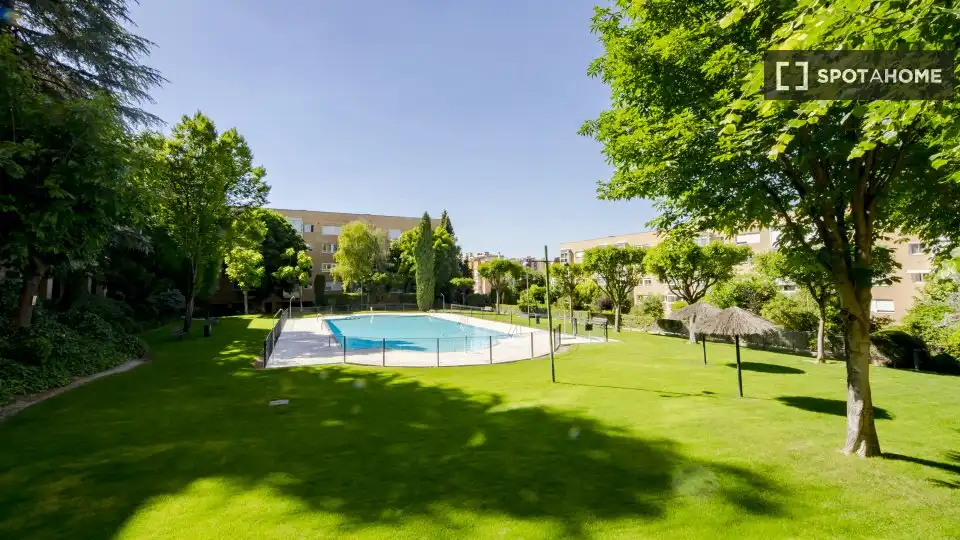 Swimming pool of Flat for rent in Madrid  with Air Conditioner, Heating and Furnished