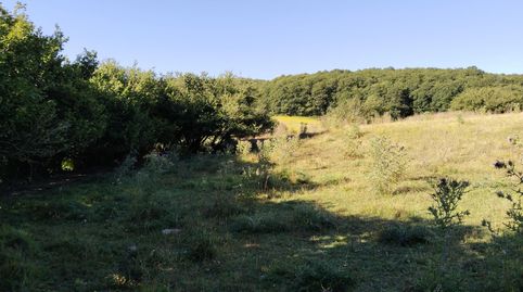 Foto 5 de Finca rústica en venta en Erro, Navarra