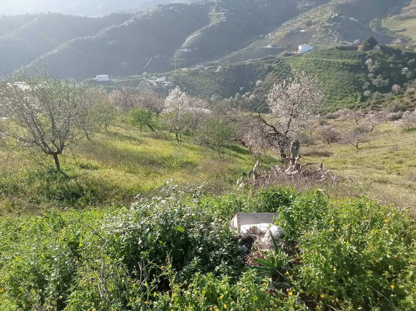 Lands and plots for sale in Iznate, imagen 6