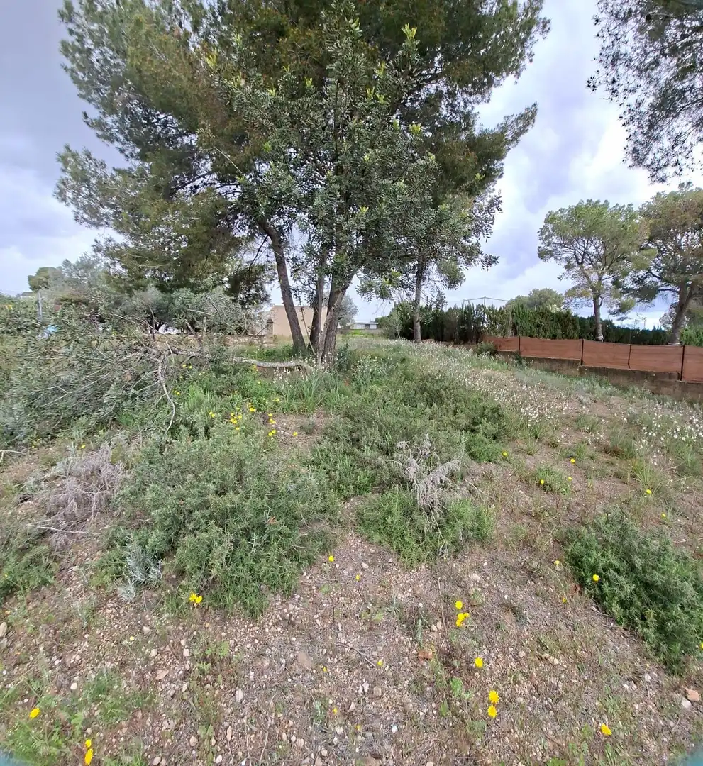 Terrain rustique à vendre à Camí de Paterna - Lloma del Calderer, imagen 6