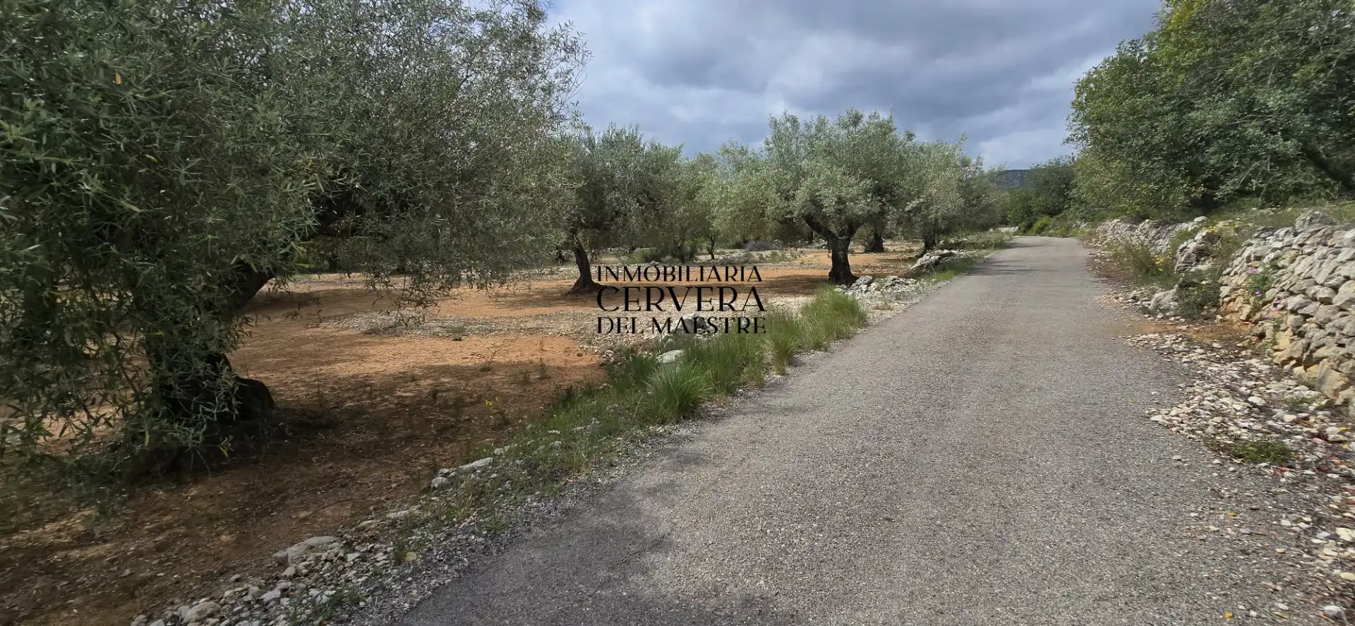 Terreno rustico in vendita a Cervera del Maestre, imagen 18