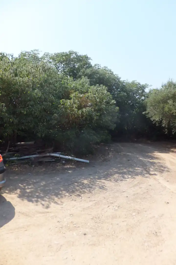 Terreno rústico en venta en Vial Camino 20, imagen 49