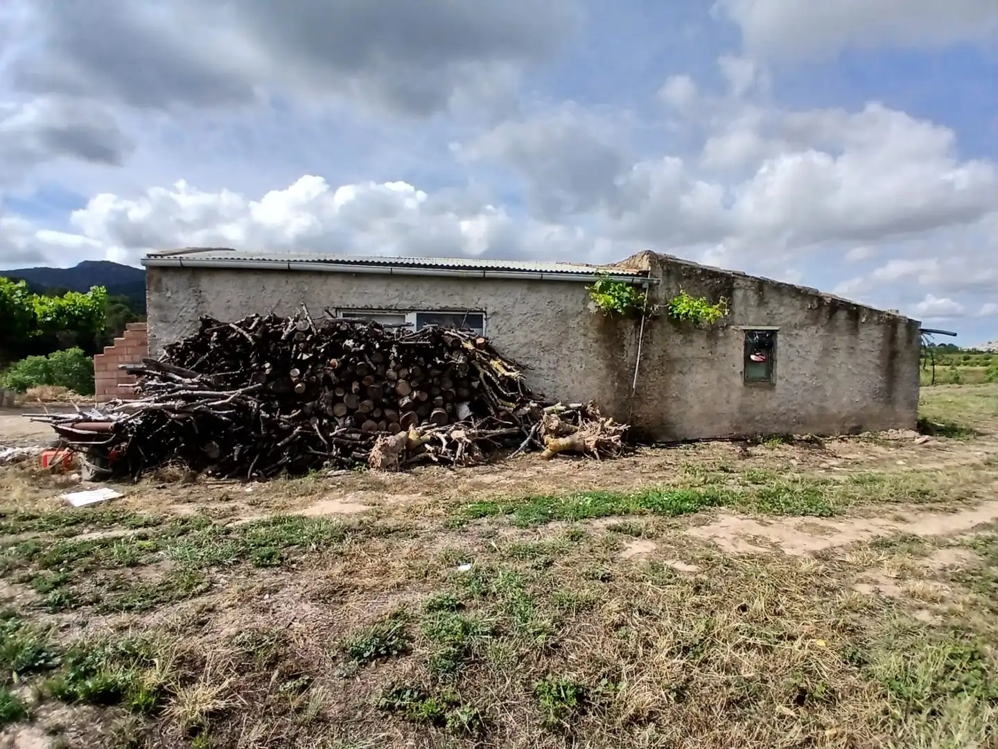 Rural land for sale in Corbera d'Ebre, imagen 3
