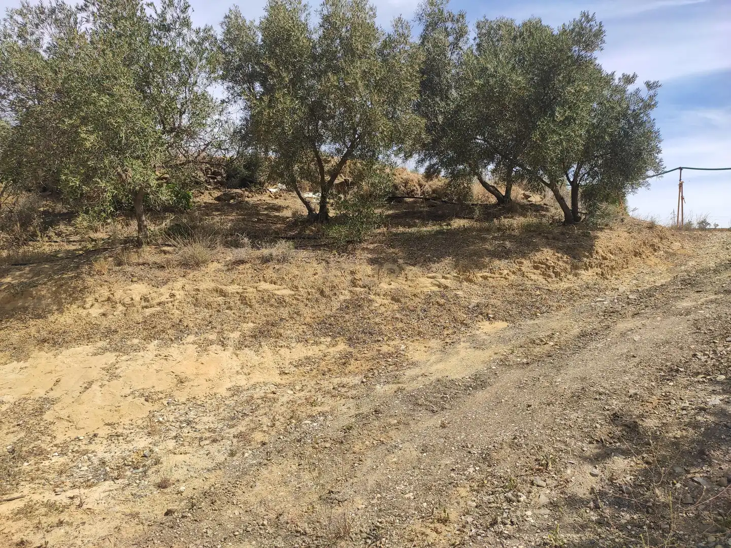 Terreni e lotti in vendita a poligono 3- parcela 102 0, imagen 19