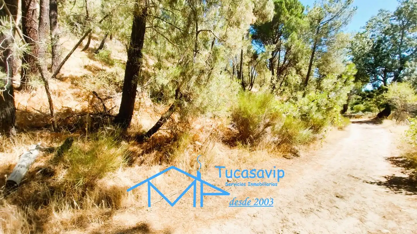 Terreno en venta en Cadalso de los Vidrios