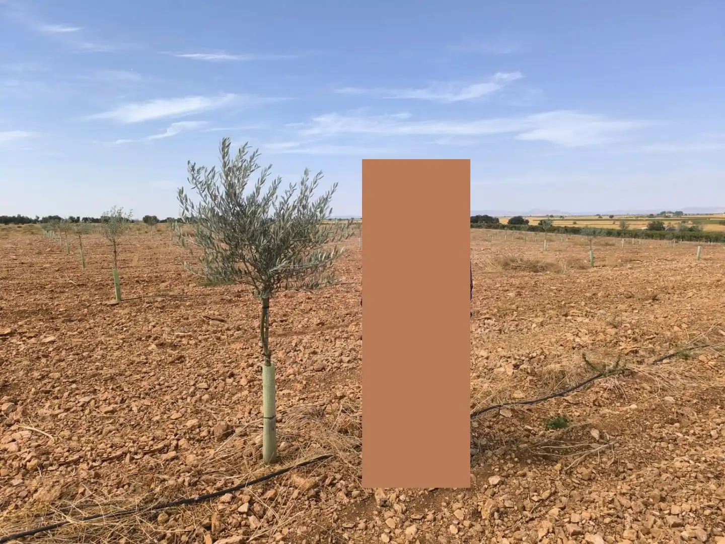 Casa rústica en venda a Torralba de Calatrava, imagen 3