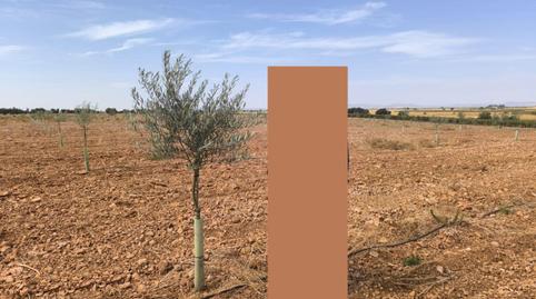 Photo 3 of Country house for sale in Torralba de Calatrava, Ciudad Real